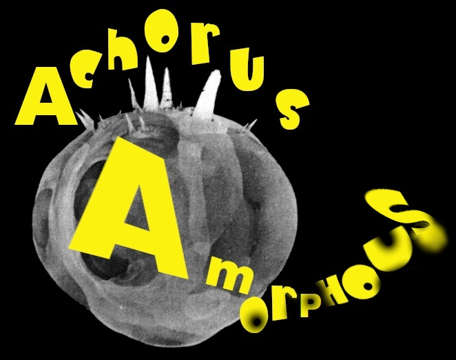 achorus amorphous puts nuclear genie back in the bottle
